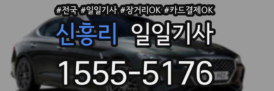 신흥리 일일기사