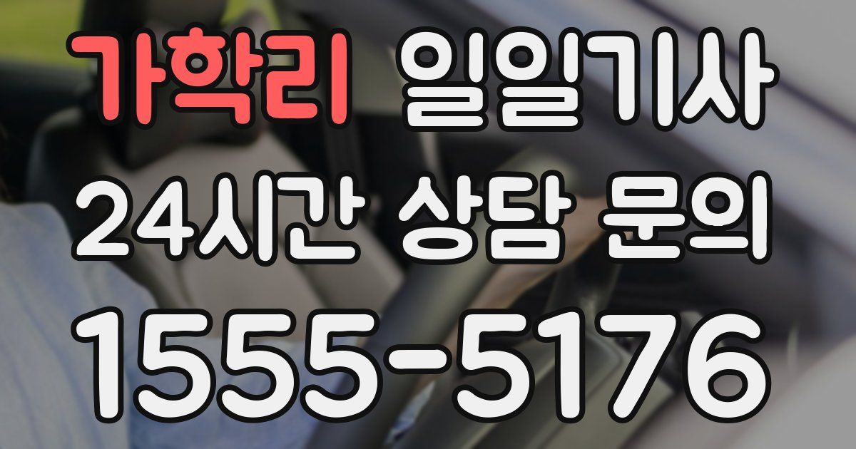 일일대리기사