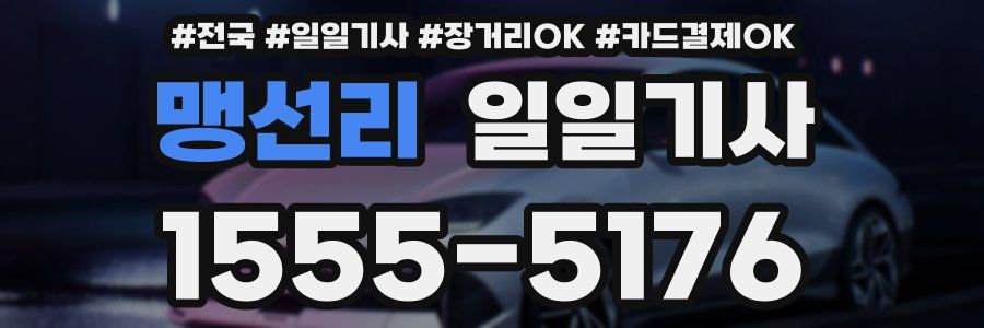 맹선리 일일기사