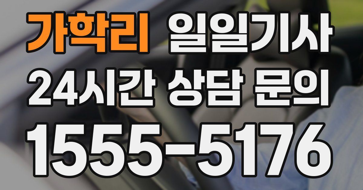 일일대리기사