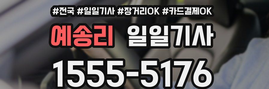 예송리 일일기사