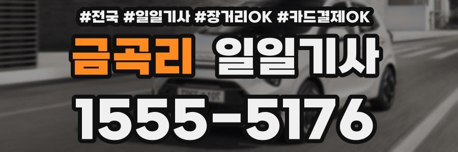 금곡리 일일기사