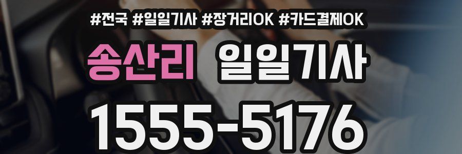 송산리 일일기사