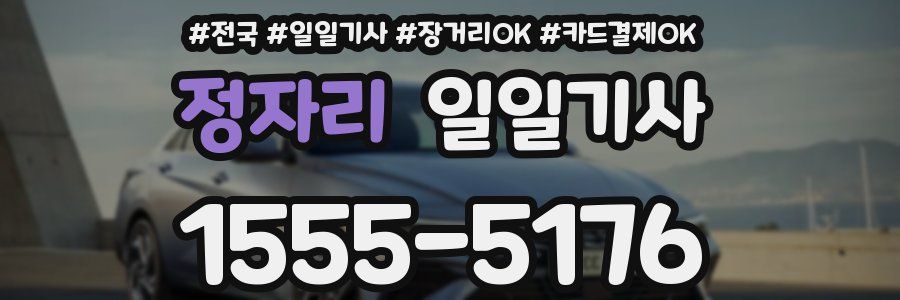 정자리 일일기사