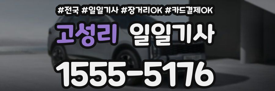 고성리 일일기사