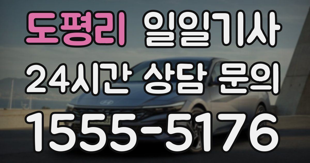 일일대리기사