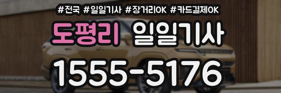 도평리 일일기사