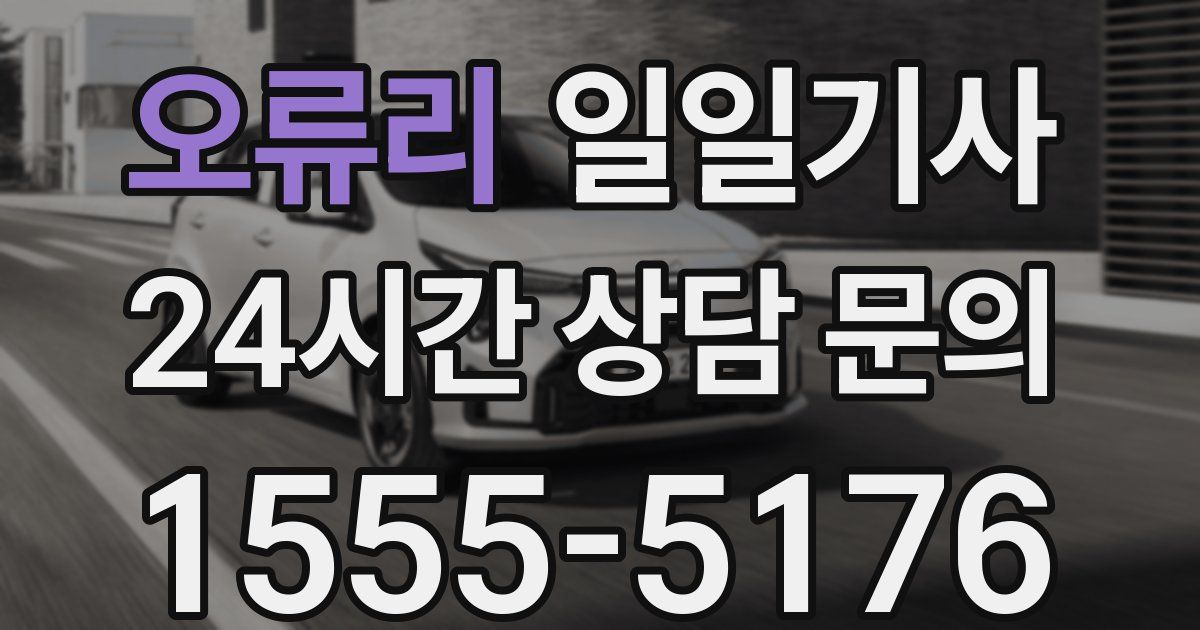 일일대리기사