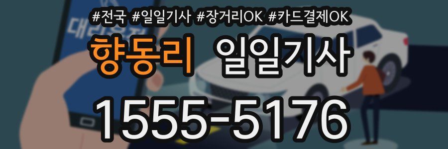 향동리 일일기사