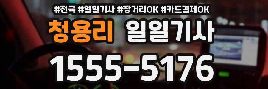 청용리 일일기사