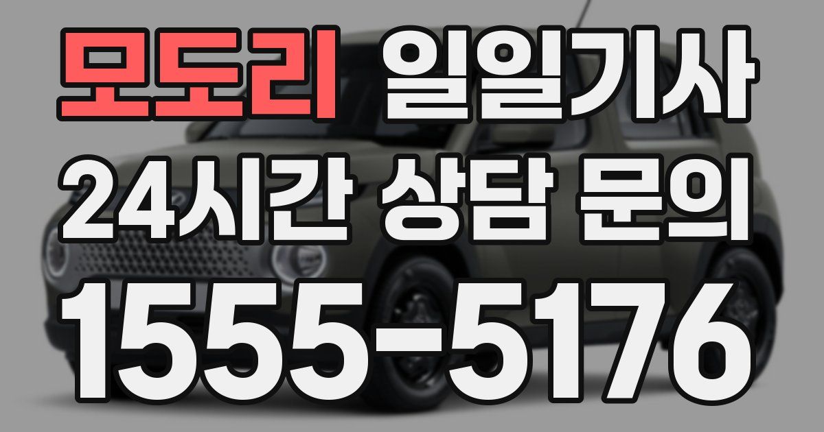 일일대리기사