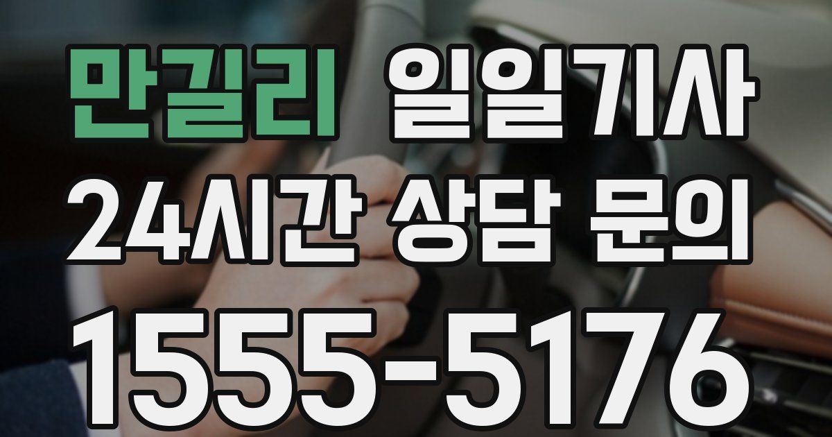 일일대리기사