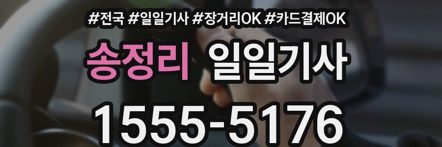 송정리 일일기사