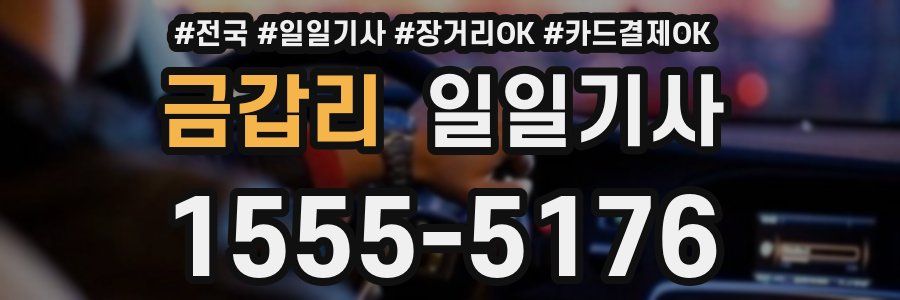 금갑리 일일기사