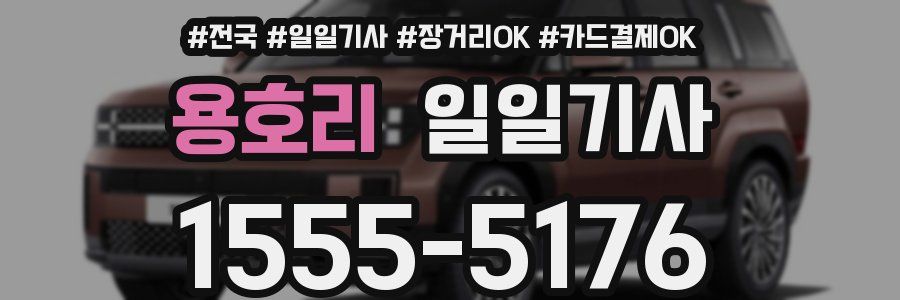 용호리 일일기사