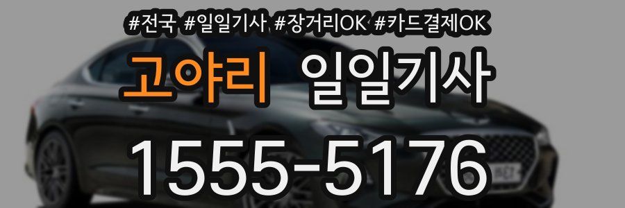 고야리 일일기사