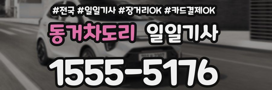 동거차도리 일일기사