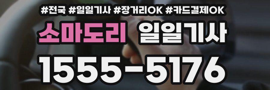 소마도리 일일기사