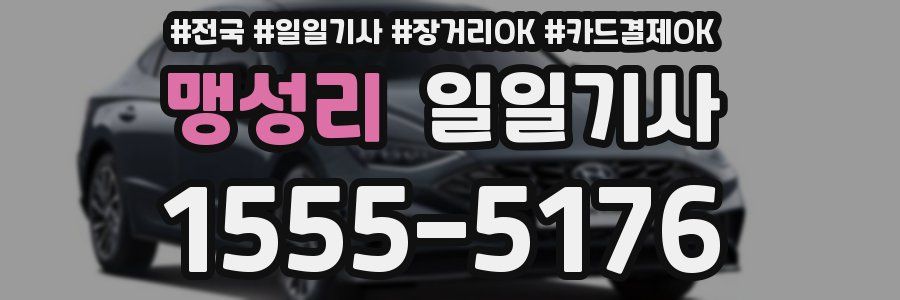 맹성리 일일기사