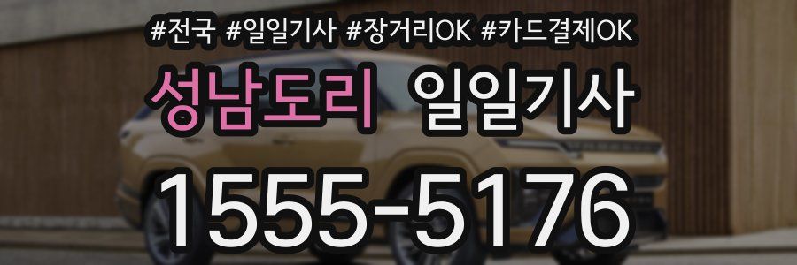 성남도리 일일기사