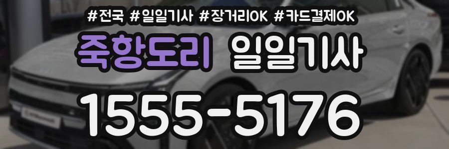 죽항도리 일일기사