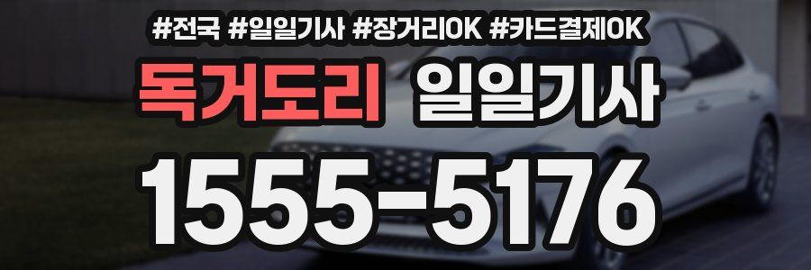 독거도리 일일기사