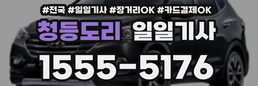 청등도리 일일기사