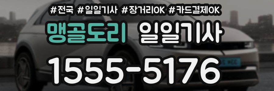 맹골도리 일일기사