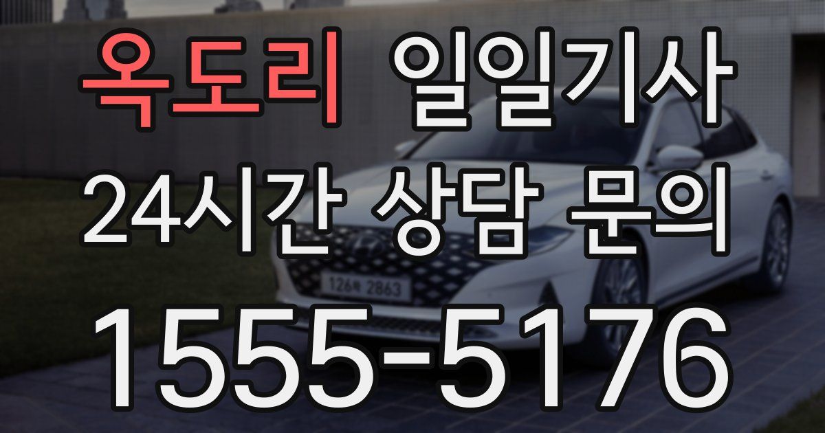 일일대리기사