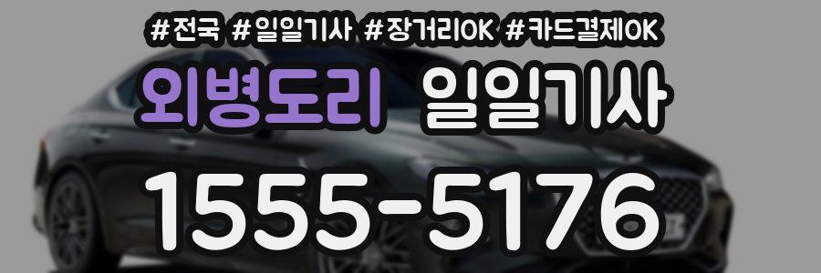 외병도리 일일기사