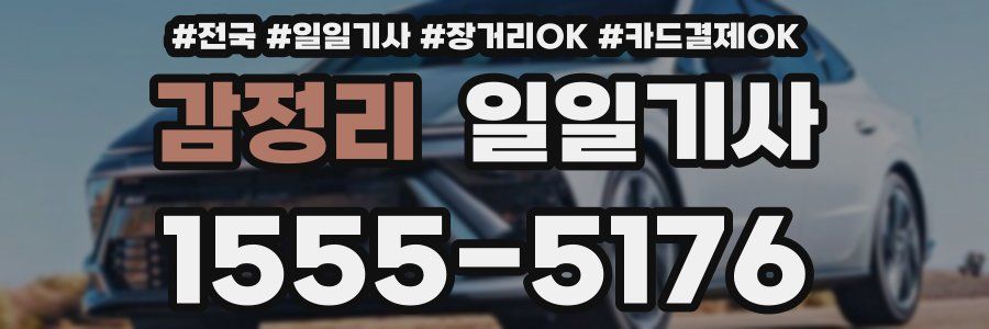 감정리 일일기사