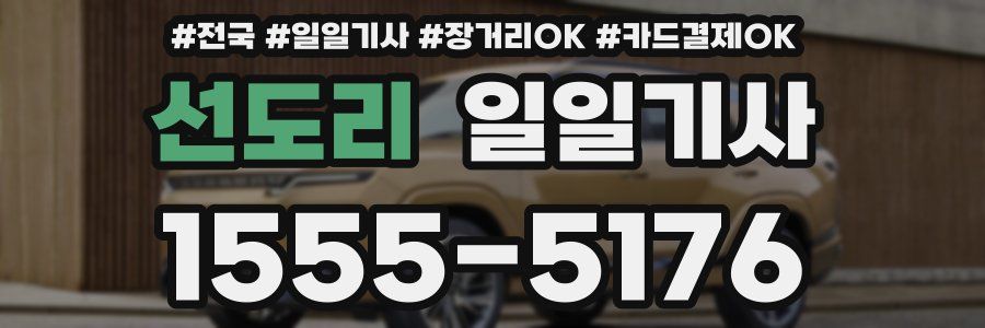 선도리 일일기사