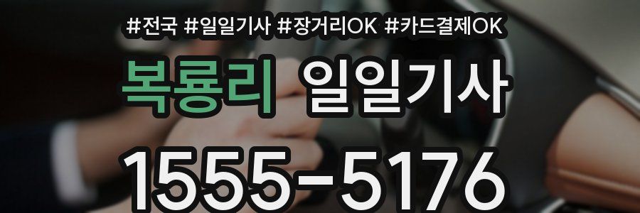 복룡리 일일기사