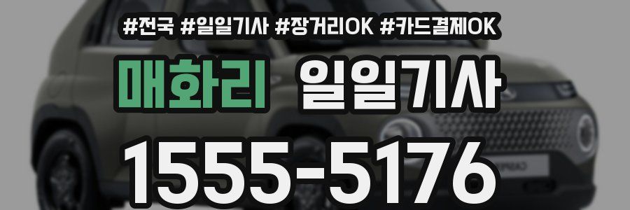 매화리 일일기사