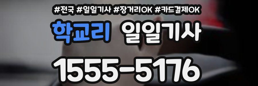 학교리 일일기사