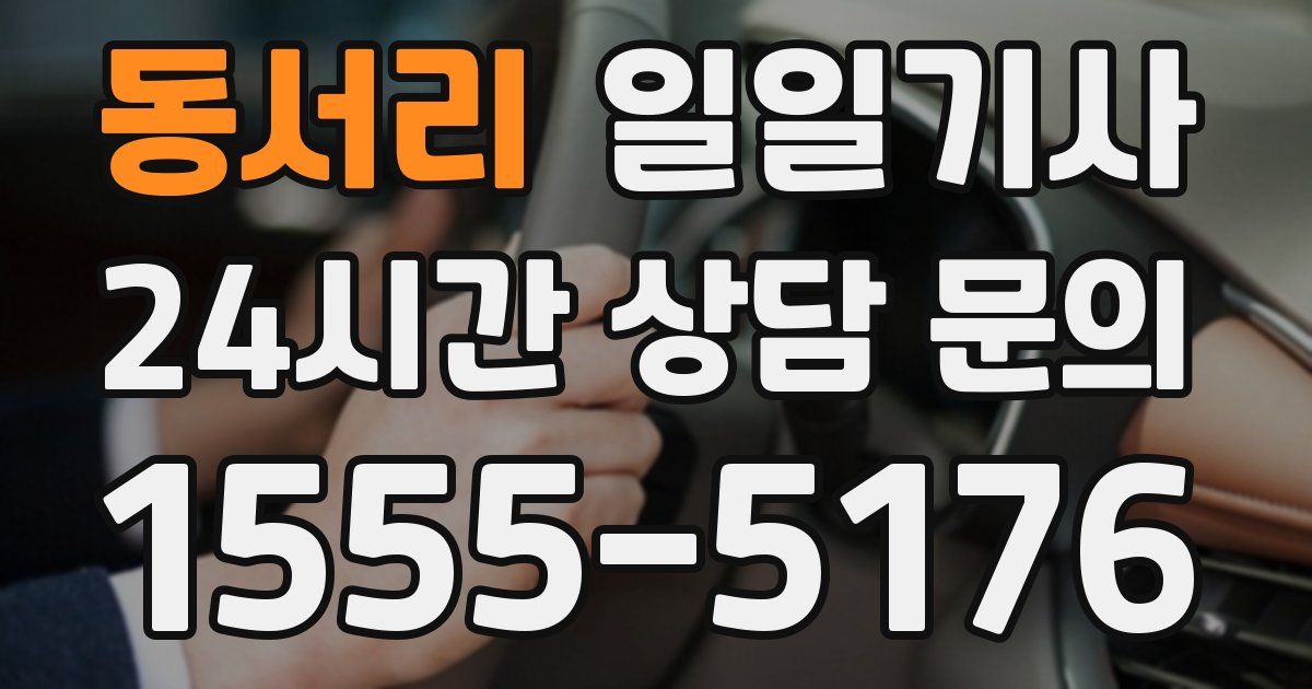 일일대리기사