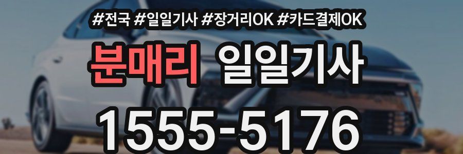 분매리 일일기사