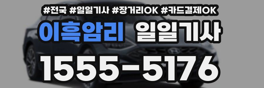 이흑암리 일일기사