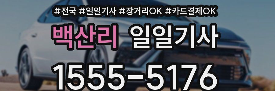 백산리 일일기사