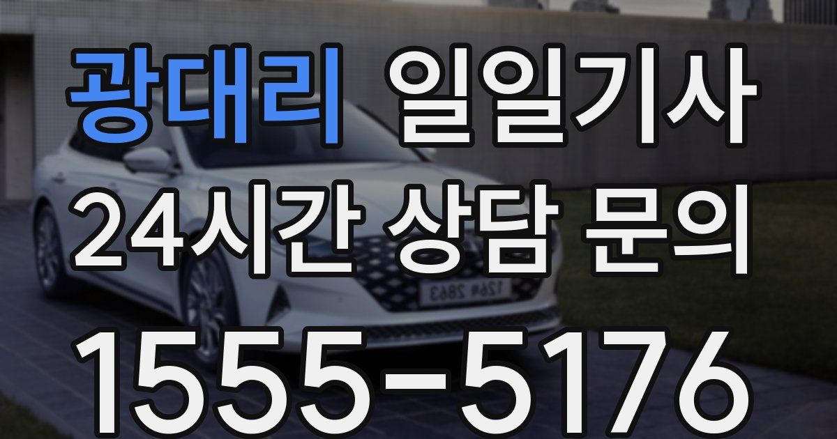 일일대리기사