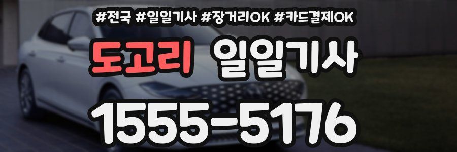 도고리 일일기사