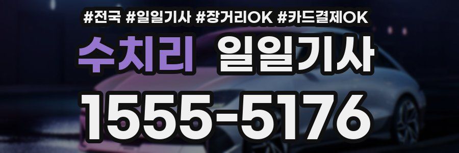 수치리 일일기사