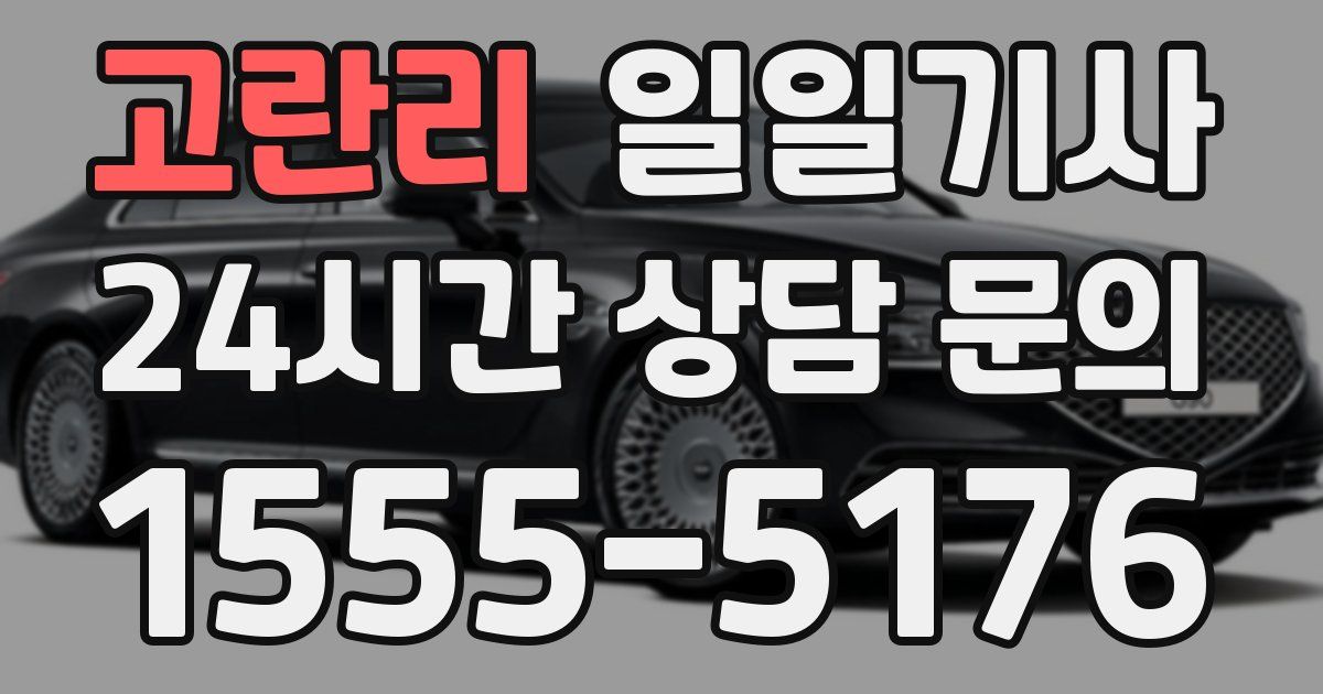 일일대리기사