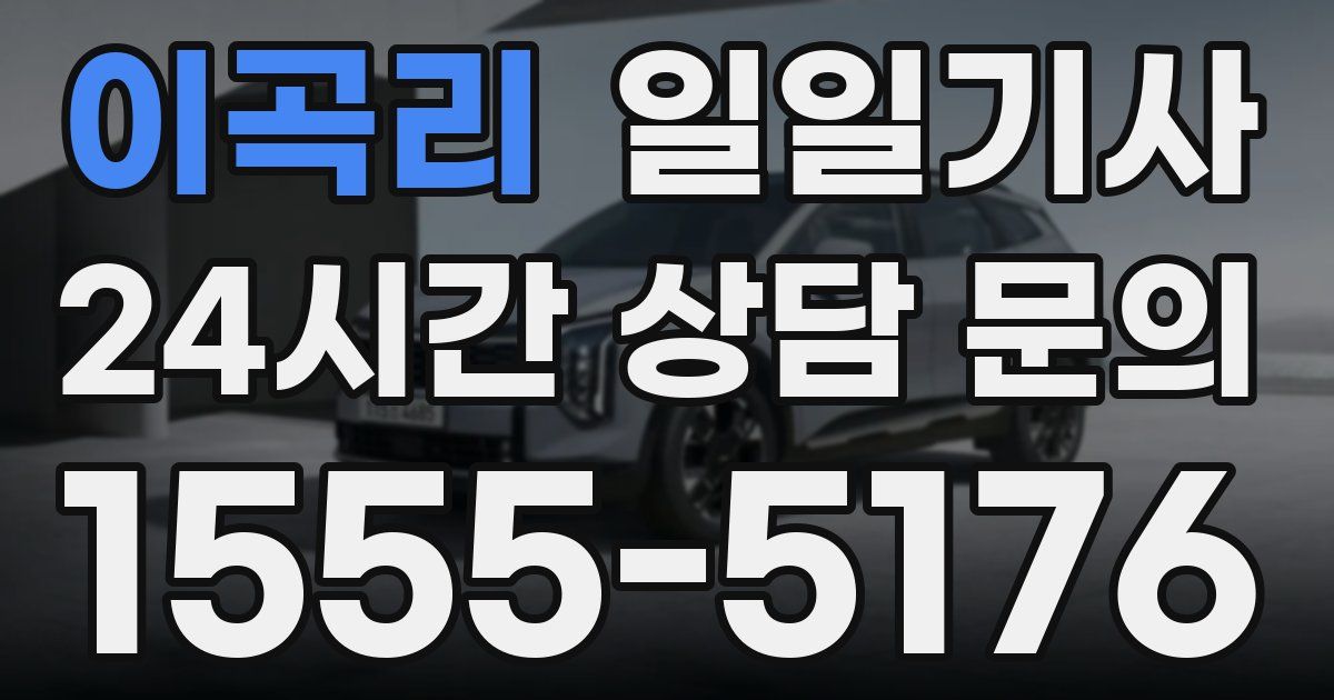 일일대리기사
