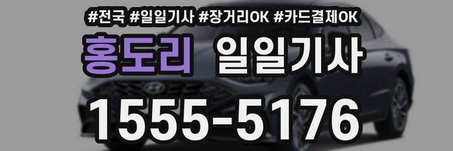 홍도리 일일기사