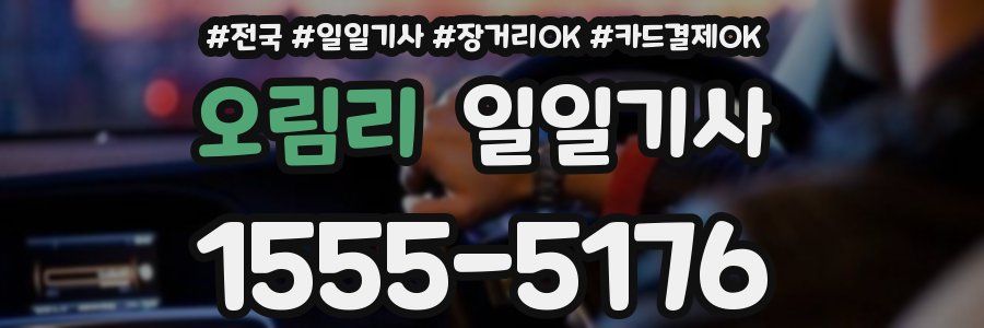 오림리 일일기사