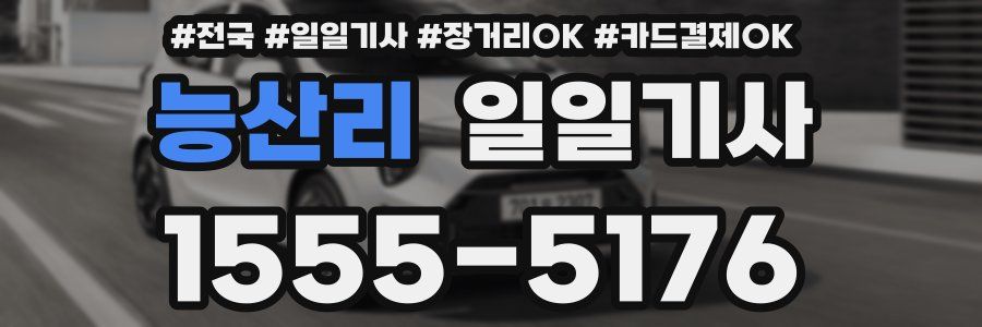 능산리 일일기사