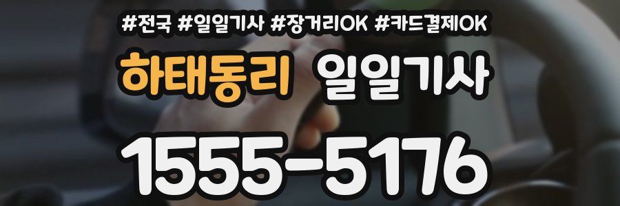 하태동리 일일기사