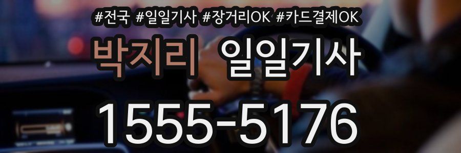 박지리 일일기사