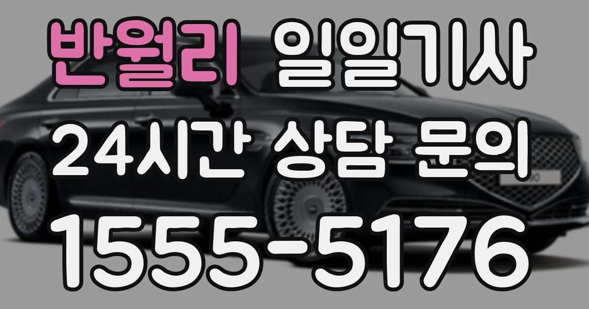 일일대리기사